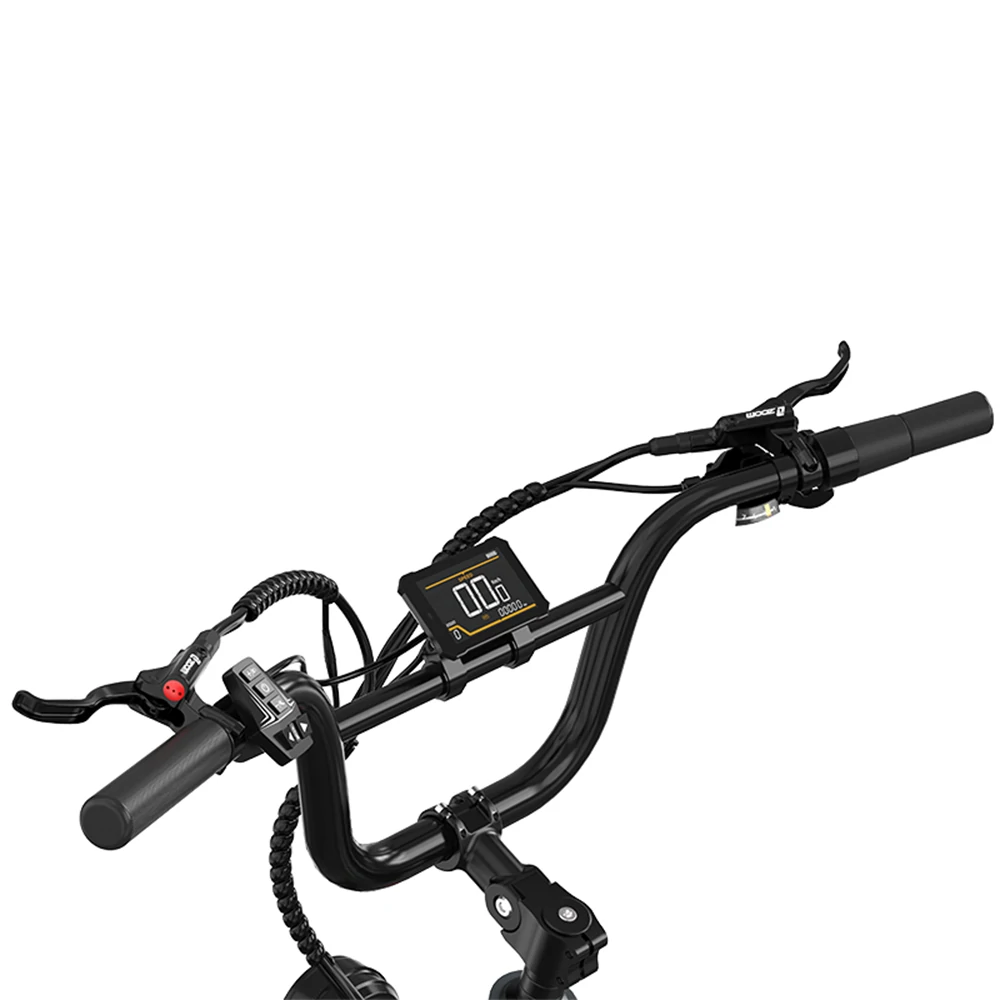 KOOLUX X12 Pro (EU) Electric Bike