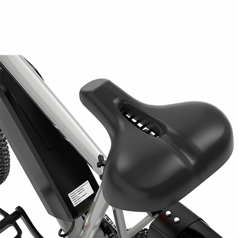 KOOLUX X15 (EU) Electric Bike